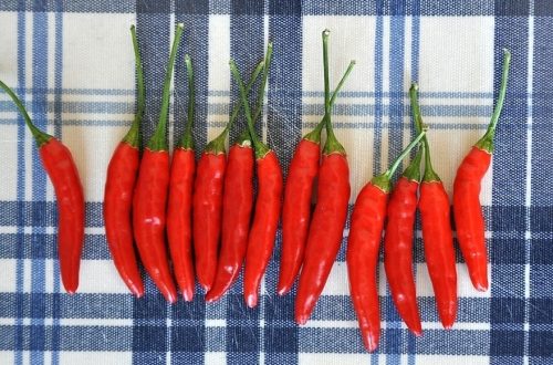 Chili