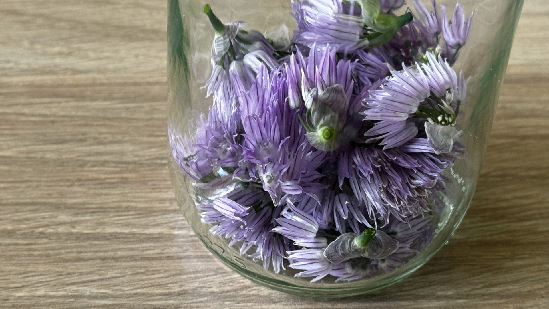 Rezept für selbst gemachten Essig mit Schnittlauchblüten Rezept für selbst gemachten Essig mit Schnittlauchblüten